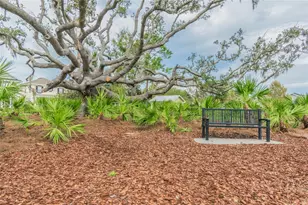 3534 Diaz St, New Port Richey, FL 34655 - Photo 50