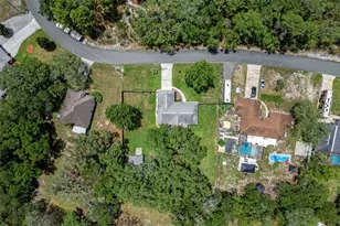 11487 Trumbull Dr, Spring Hill, FL 34609 - Photo 52