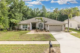 321 Waterford Cir E, Tarpon Springs, FL 34688 - Photo 74