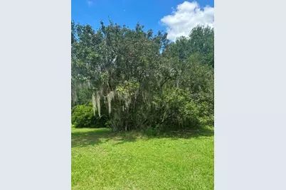 Mildred Avenue, Brooksville, FL 34601 - Photo 4