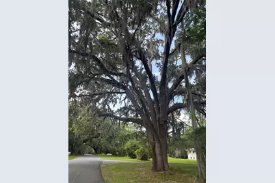 Mildred Avenue, Brooksville, FL 34601 - Photo 2