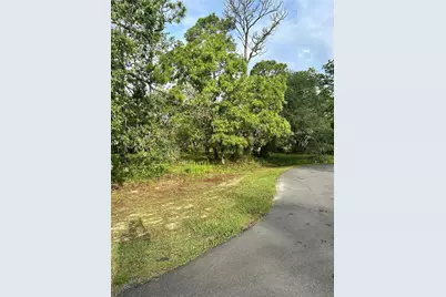 2 Barkwood Point, Homosassa, FL 34446 - Photo 2