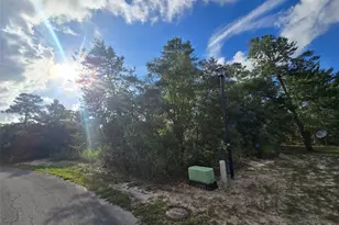 43 Matricaria Ct, Homosassa, FL 34446 - Photo 50