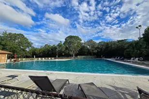 43 Matricaria Ct, Homosassa, FL 34446 - Photo 58