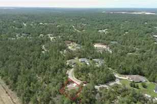 43 Matricaria Ct, Homosassa, FL 34446 - Photo 56