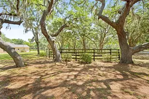 19509 Paso Fino Way, Dade City, FL 33523 - Photo 34
