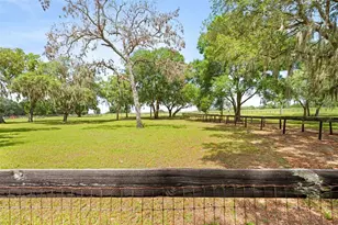 19509 Paso Fino Way, Dade City, FL 33523 - Photo 24