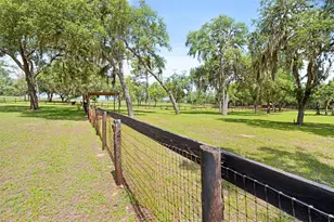 19509 Paso Fino Way, Dade City, FL 33523 - Photo 20