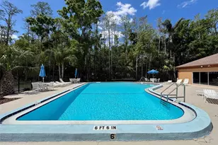 3341 Player Dr, New Port Richey, FL 34655 - Photo 40