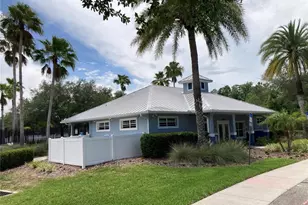 15848 Leatherleaf Ln, Land O Lakes, FL 34638 - Photo 28
