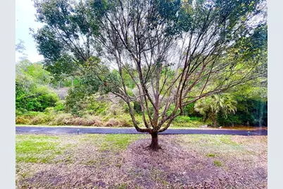 1182 Pine Ridge Circle W #C-2, Tarpon Springs, FL 34688 - Photo 24