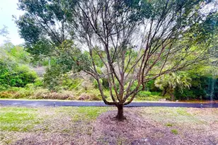 1182 Pine Ridge Cir W, Tarpon Springs, FL 34688 - Photo 24