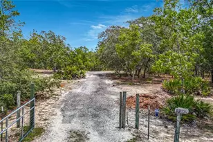 12126 Skimmer Ave, Weeki Wachee, FL 34614 - Photo 2