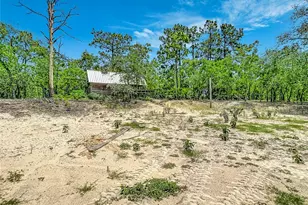 12126 Skimmer Ave, Weeki Wachee, FL 34614 - Photo 50