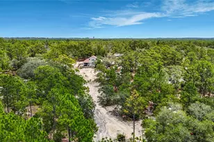 12126 Skimmer Ave, Weeki Wachee, FL 34614 - Photo 68