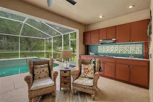 1331 Trimaran Pl, Trinity, FL 34655 - Photo 6