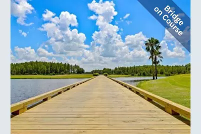 1331 Trimaran Place, Trinity, FL 34655 - Photo 36