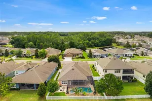 8142 Water Color Dr, Land O Lakes, FL 34638 - Photo 70