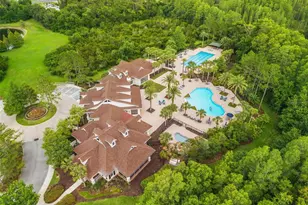 8142 Water Color Dr, Land O Lakes, FL 34638 - Photo 72