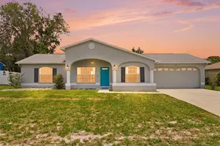 2202 Godfrey Ave, Spring Hill, FL 34609 - Photo 1