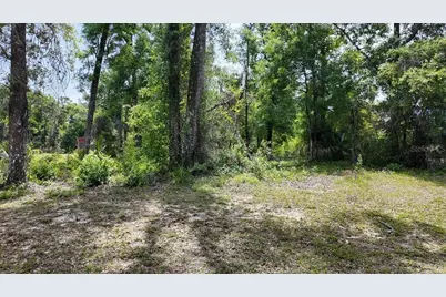 Katherine Way, Fanning Springs, FL 32693 - Photo 4