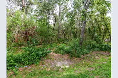 13733 Covey Run Place, Spring Hill, FL 34609 - Photo 46