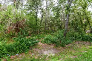 13733 Covey Run Pl, Spring Hill, FL 34609 - Photo 46