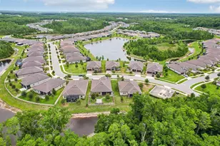 11040 Banyan Breeze Blvd, Land O Lakes, FL 34638 - Photo 52