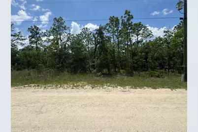 0 Scaup Duck Avenue, Weeki Wachee, FL 34614 - Photo 2