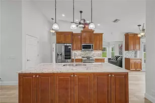 2235 Springmeadow Dr, Spring Hill, FL 34606 - Photo 16