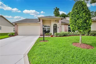 2235 Springmeadow Dr, Spring Hill, FL 34606 - Photo 48