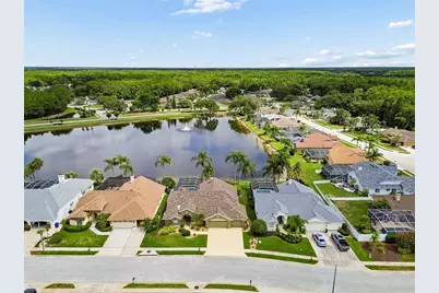 1226 Hoversham Drive, New Port Richey, FL 34655 - Photo 86