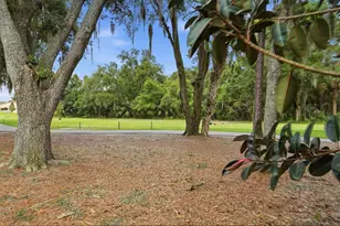 9215 Green Pines Terrace, New Port Richey, FL 34655 - Photo 50
