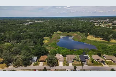 12603 Pecan Tree Drive, Hudson, FL 34669 - Photo 46