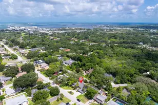 1350 Fairway Dr, Dunedin, FL 34698 - Photo 60