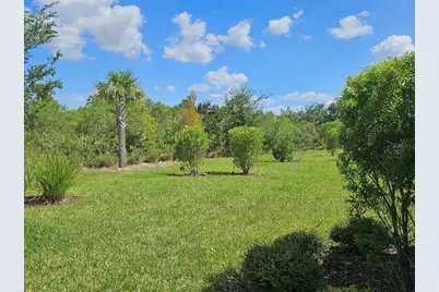 3270 Francoa Drive, Odessa, FL 33556 - Photo 28