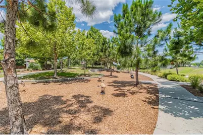 11903 Ranchers Gap Drive, Odessa, FL 33556 - Photo 52