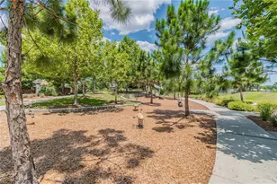 11903 Ranchers Gap Dr, Odessa, FL 33556 - Photo 52