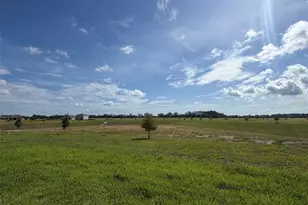 18740 Highland Dew St, Spring Hill, FL 34610 - Photo 14