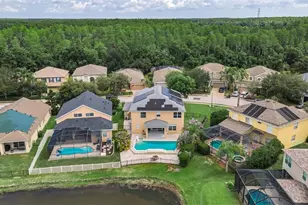 1345 Halapa Way, Trinity, FL 34655 - Photo 72