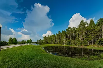 1345 Halapa Way, Trinity, FL 34655 - Photo 92