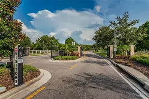 1345 Halapa Way, Trinity, FL 34655 - Photo 84