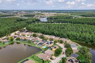 1345 Halapa Way, Trinity, FL 34655 - Photo 76