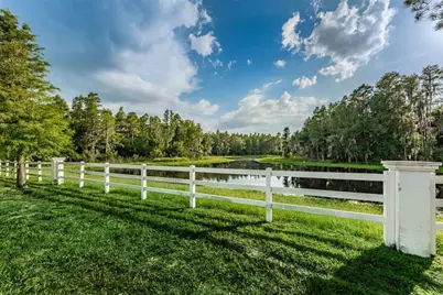 1345 Halapa Way, Trinity, FL 34655 - Photo 90