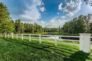 1345 Halapa Way, Trinity, FL 34655 - Photo 90