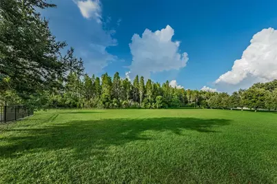 1345 Halapa Way, Trinity, FL 34655 - Photo 88