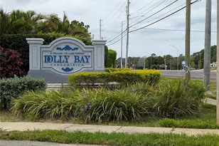 2577 Dolly Bay Dr, Palm Harbor, FL 34684 - Photo 40