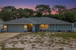 1372 Haulover Ave, Spring Hill, FL 34608 - Photo 8