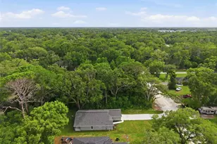352 Garfield Ave, Masaryktown, FL 34604 - Photo 58