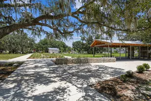 4215 Tatum Loop, Odessa, FL 33556 - Photo 52